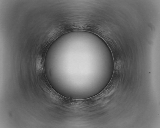 X0000111431202200907131216