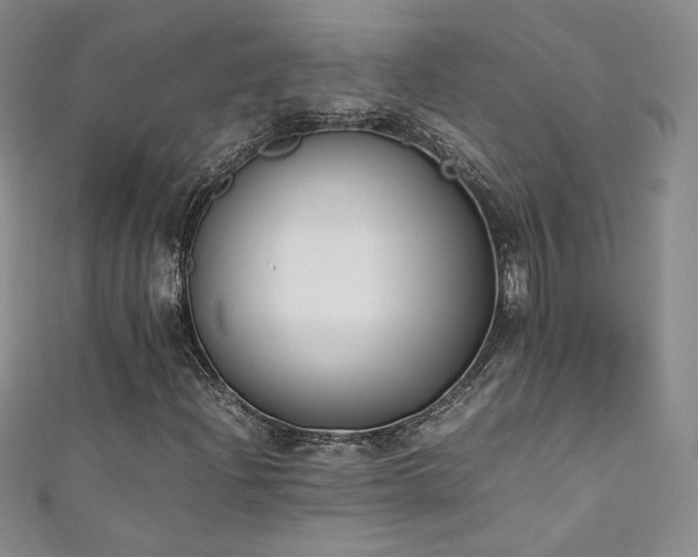 X0000111431204200907131216