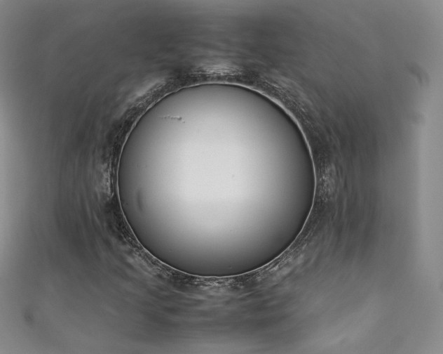 X0000111431205200907131216