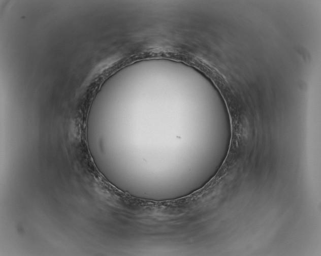 X0000111431207200907131216