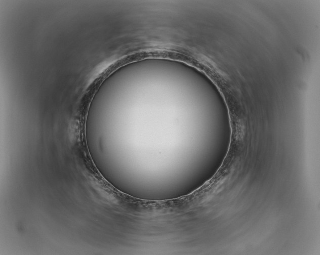 X0000111431208200907131216