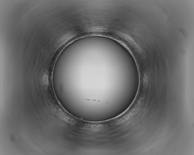 X0000111431209200907131216