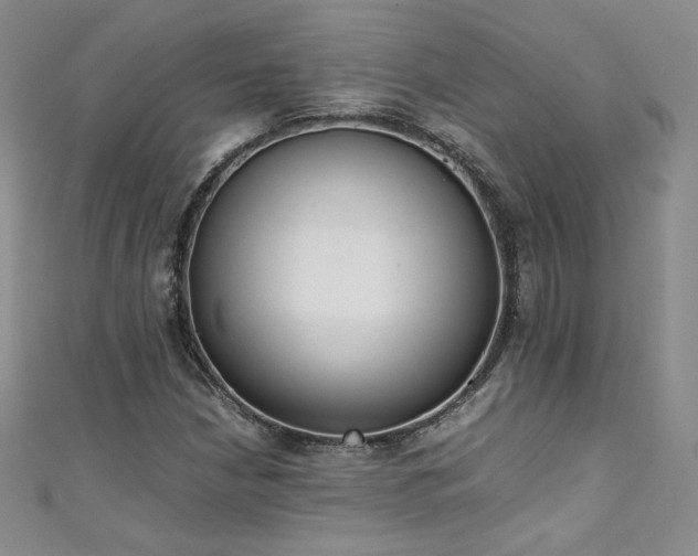 X0000111431210200907131216