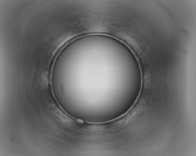 X0000111431212200907131216