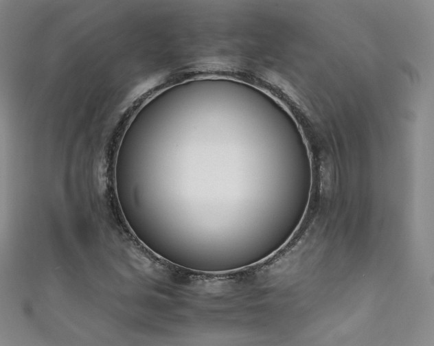 X0000111431213200907131216