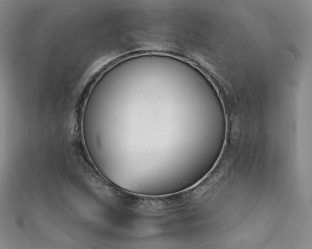 X0000111431215200907131216