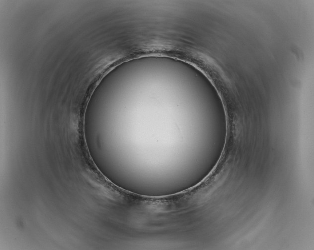 X0000111431217200907131216