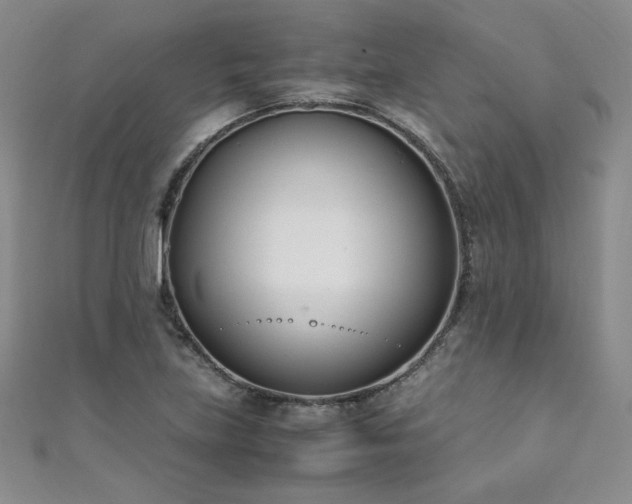 X0000111431219200907131216
