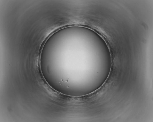 X0000111431220200907131216