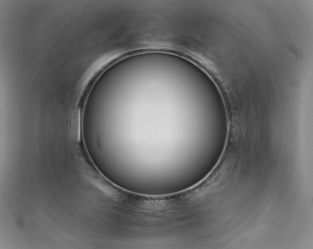 X0000111431223200907131216