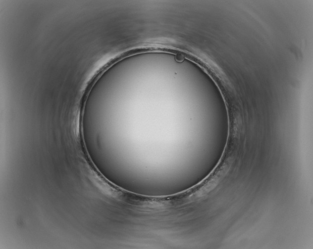 X0000111431224200907131216
