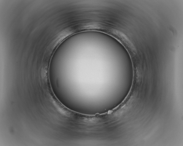 X0000111431225200907131216