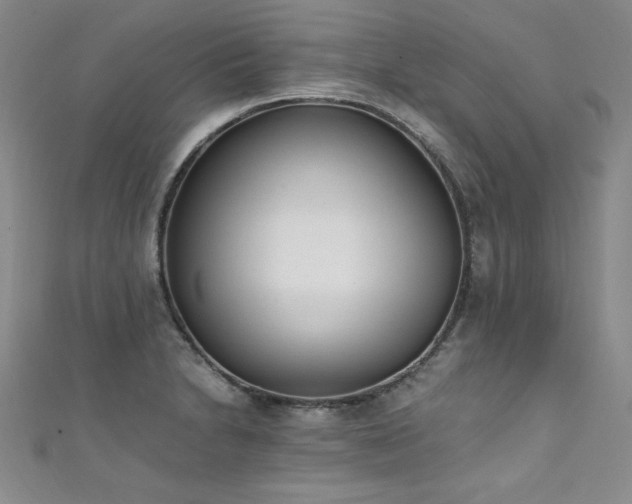 X0000111431230200907131216