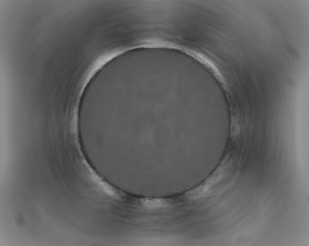 X0000111431231200907131216
