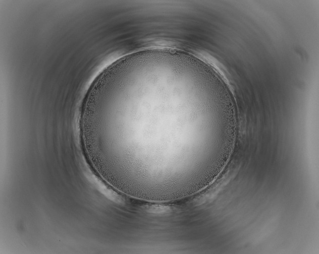 X0000111431235200907131216