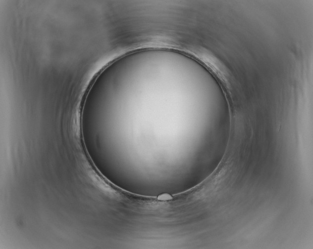 X0000111431238200907131216