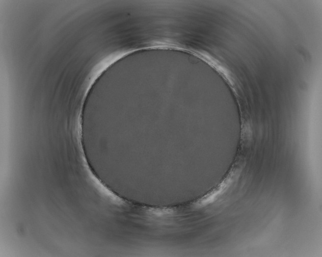 X0000111431239200907131216