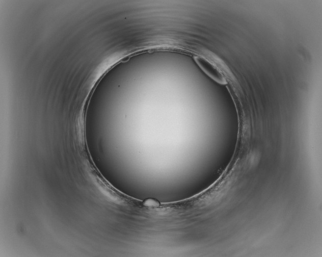 X0000111431242200907131216