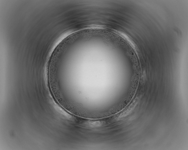 X0000111431243200907131216