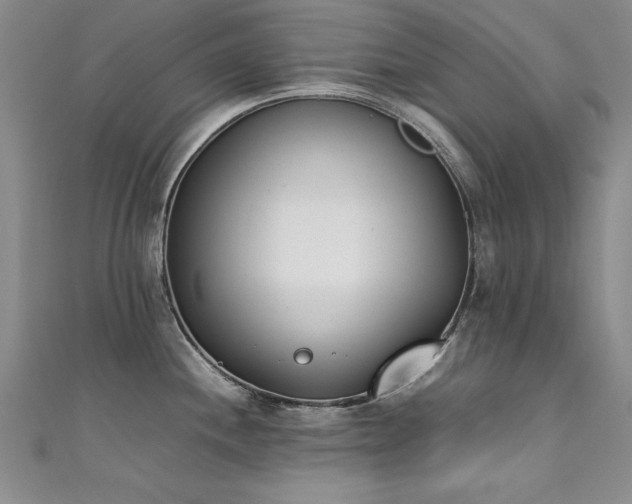 X0000111431244200907131216