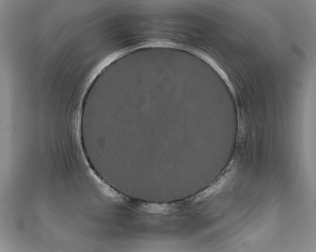 X0000111431245200907131216