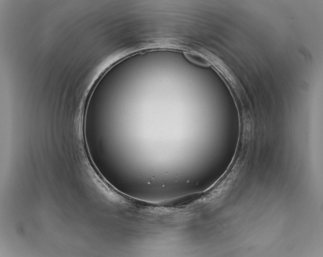 X0000111431246200907131216