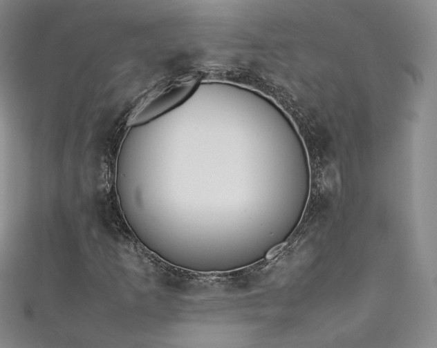 X0000111431253200907131216