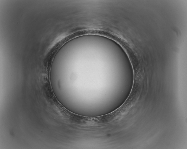 X0000111431255200907131215