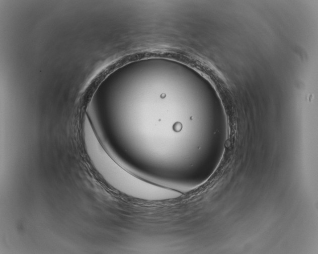 X0000111431256200907131215