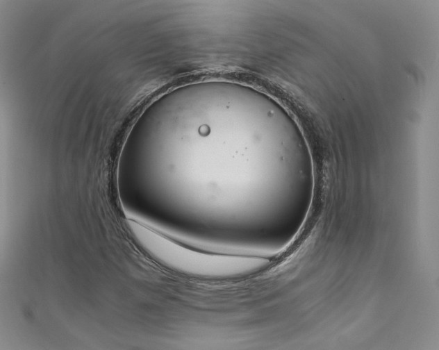 X0000111431257200907131215