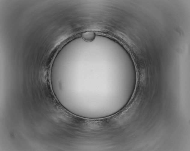 X0000111431258200907131215