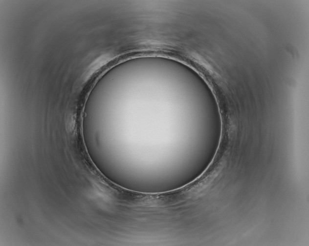 X0000111431259200907131215