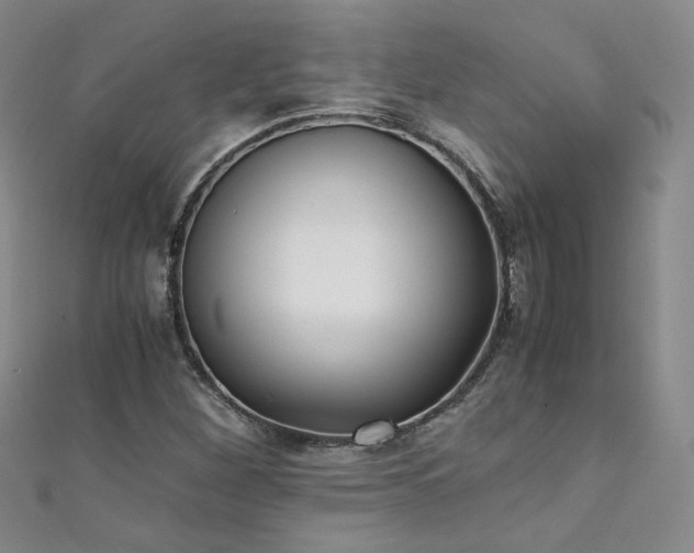 X0000111431260200907131215