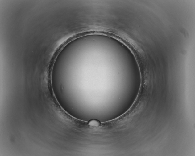 X0000111431264200907131215