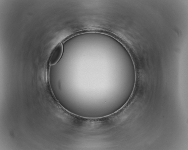 X0000111431269200907131215