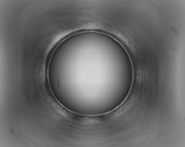 X0000111431270200907131215