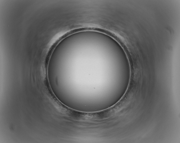 X0000111431271200907131215