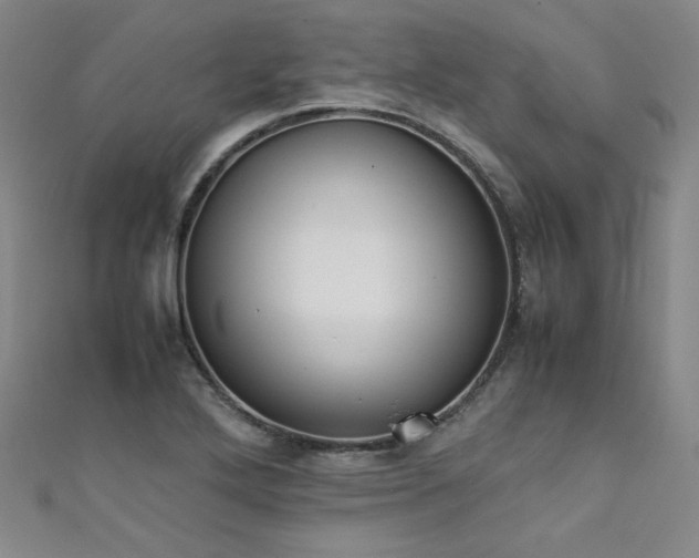X0000111431272200907131215