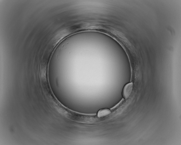 X0000111431273200907131215