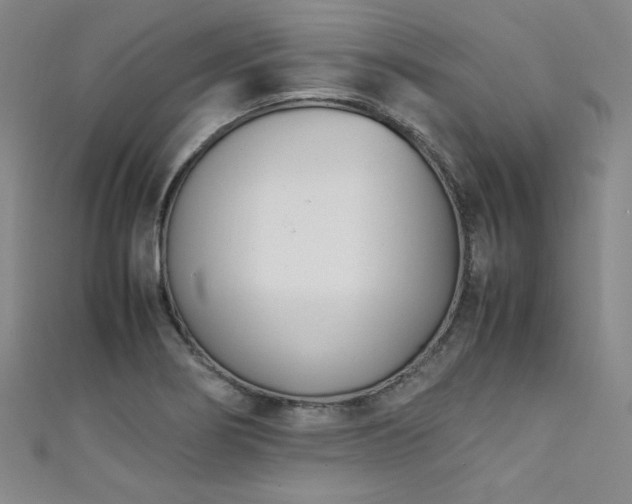 X0000111431274200907131215