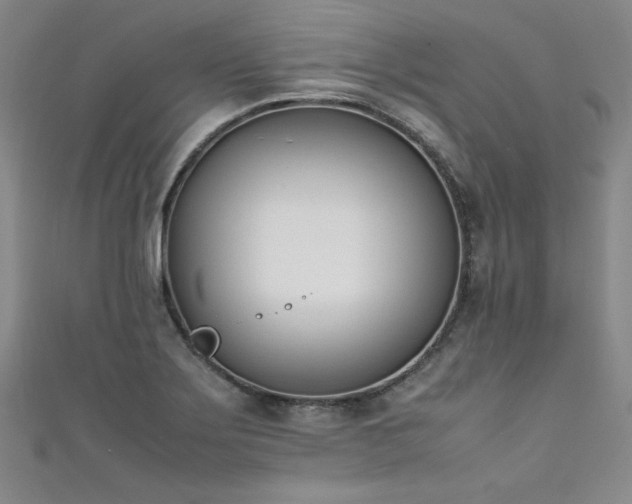 X0000111431275200907131215