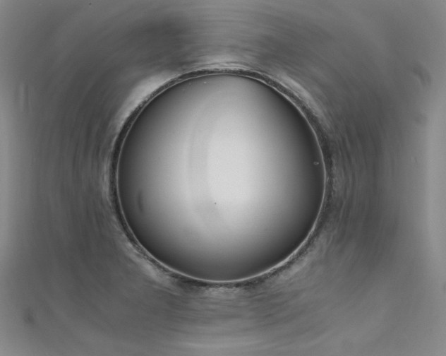 X0000111431277200907131215