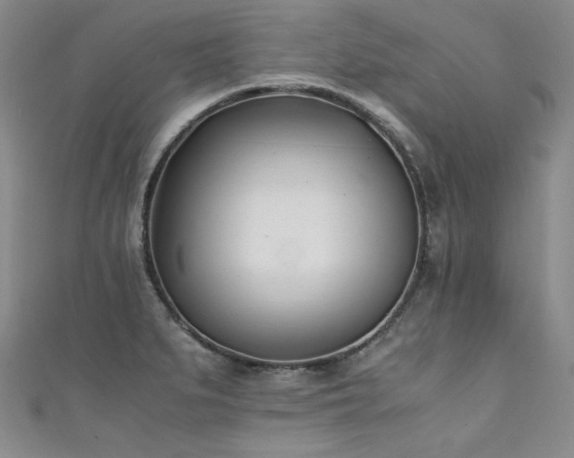 X0000111431279200907131215