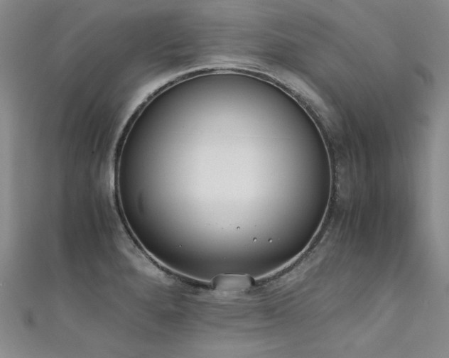 X0000111431280200907131215