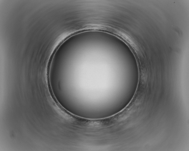 X0000111431283200907131215