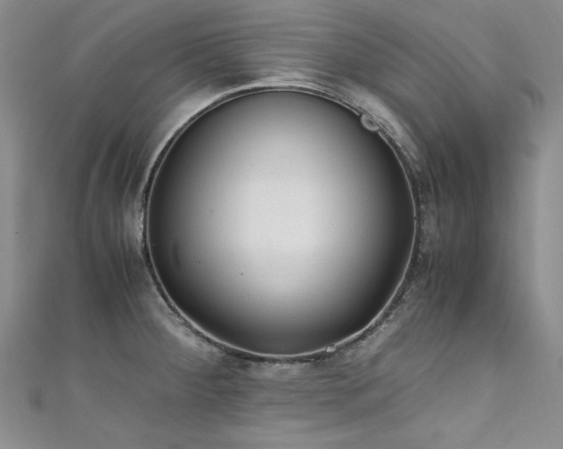 X0000111431284200907131215