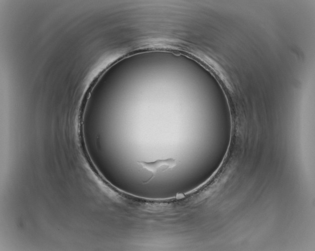 X0000111431285200907131215