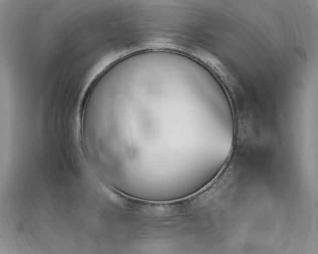 X0000111431286200907131215