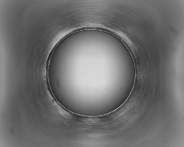 X0000111431287200907131215