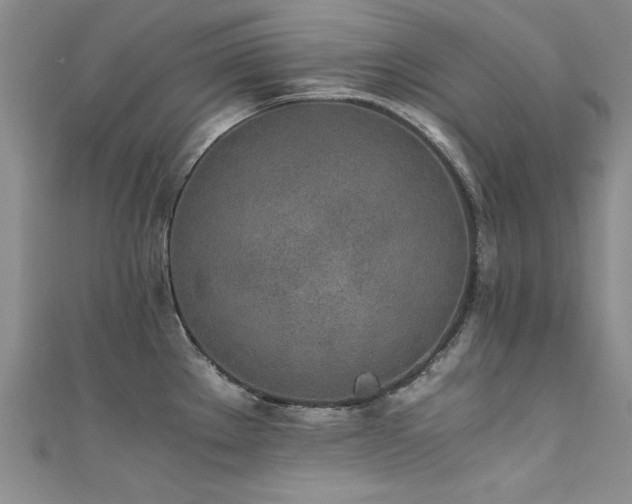 X0000111431289200907131215